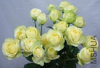 t0142b4535429aafe9e.jpg