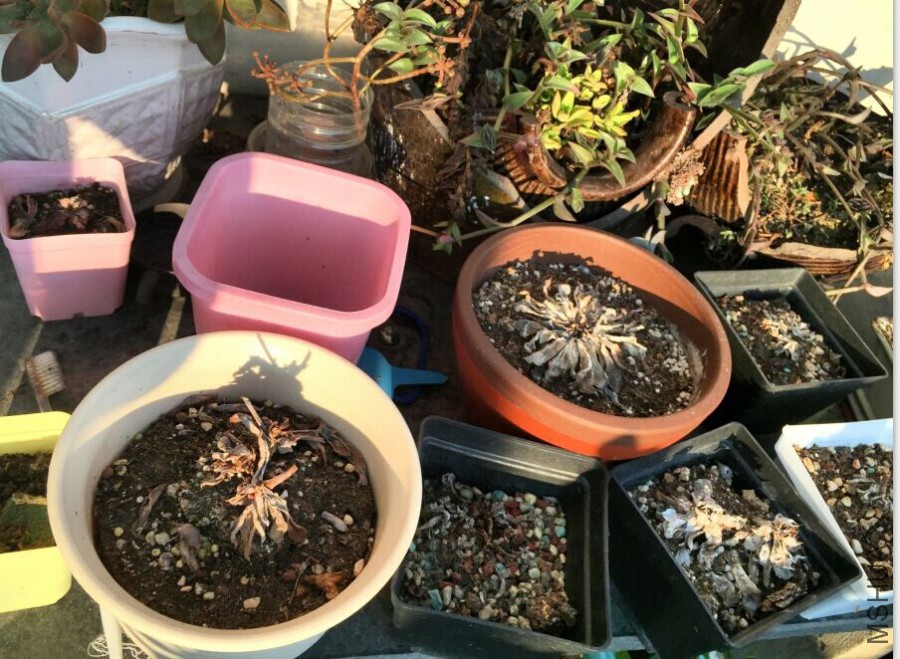 QQͼƬ20150910084616.jpg
