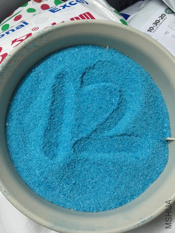 �����12��ϸ��_����.jpg