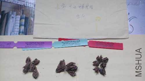 IMG_20150910_110322.jpg