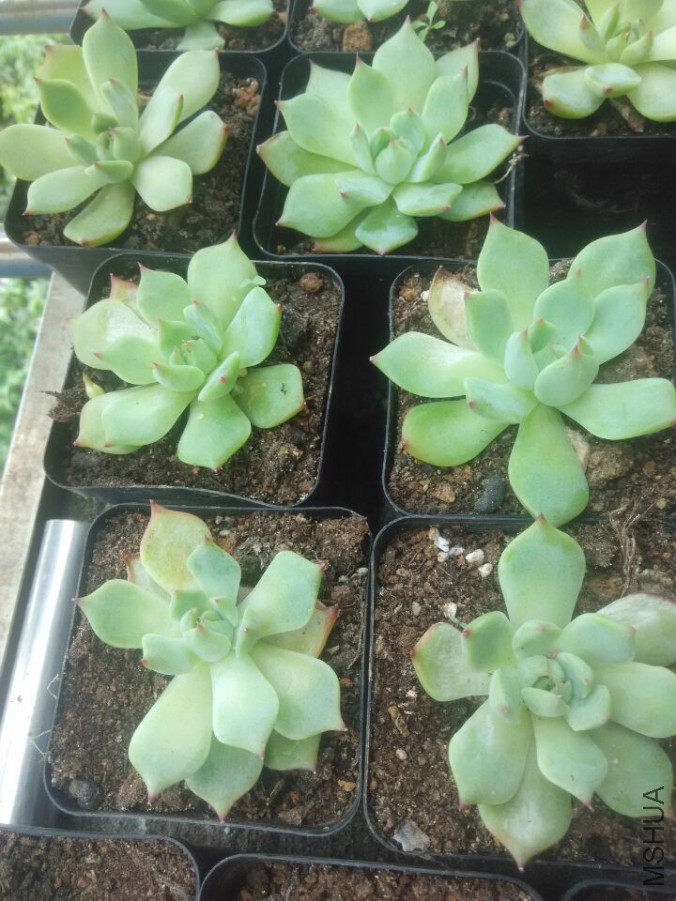 QQͼƬ20150910113949.jpg