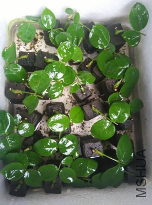 �ղ岻���յ�