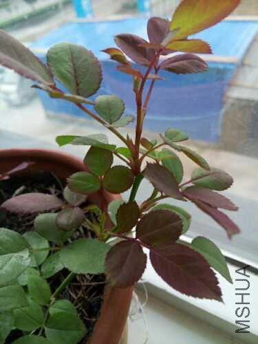UC_Photo_005.jpg