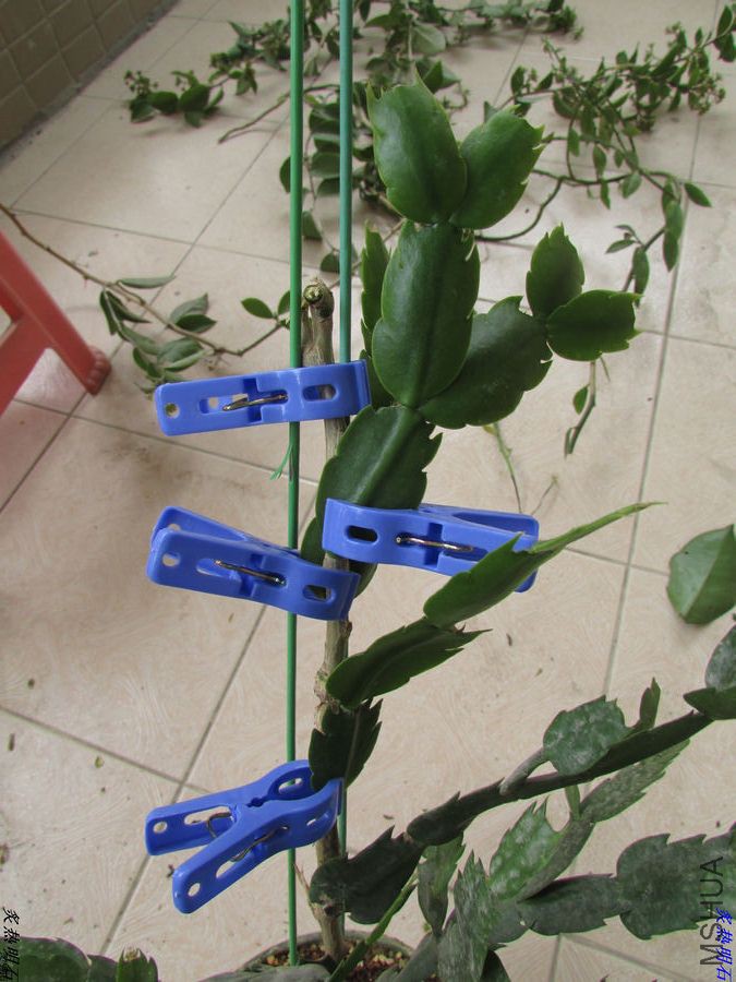 IMG_9277_nEO_IMG.jpg