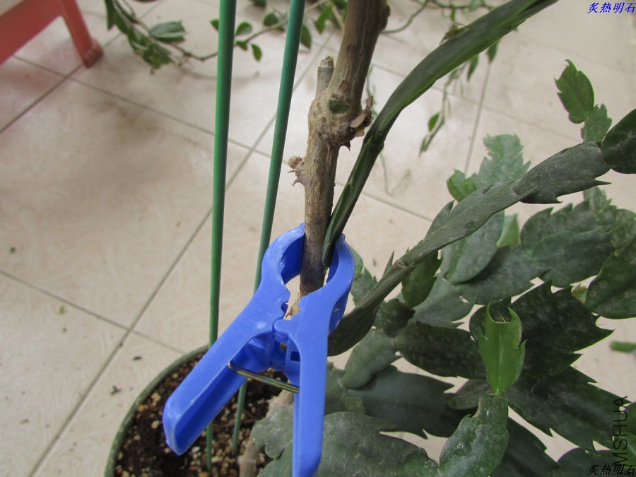 IMG_9279_nEO_IMG.jpg