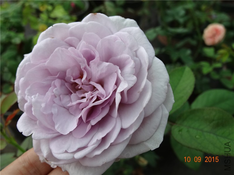 DSC05732.jpg