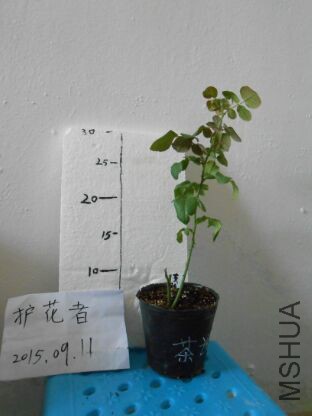 QQͼƬ20150911095215.jpg