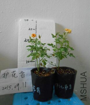 QQͼƬ20150911095225.jpg