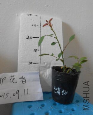 QQͼƬ20150911095232.jpg