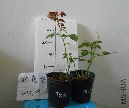 QQͼƬ20150911095241.jpg