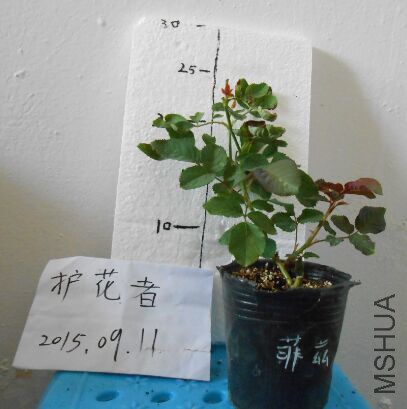 QQͼƬ20150911095253.jpg