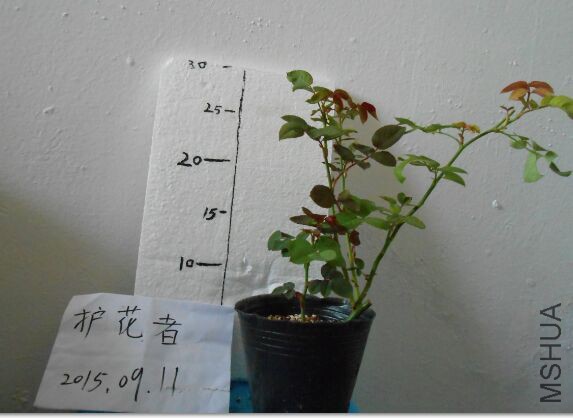QQͼƬ20150911095256.jpg