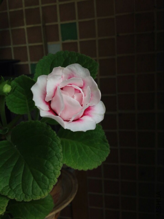 QQͼƬ20150911121626.jpg