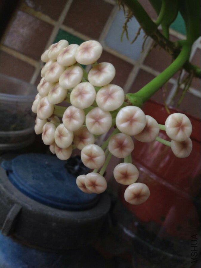 QQͼƬ20150911121630.jpg