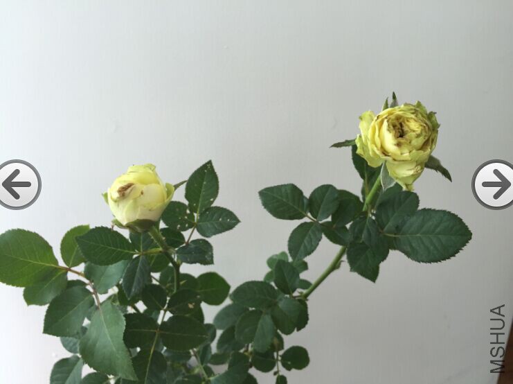 QQͼƬ20150911134420.jpg