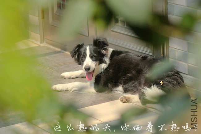 IMG_2926_����.jpg