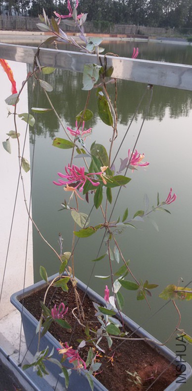 20150910_180334_����.jpg