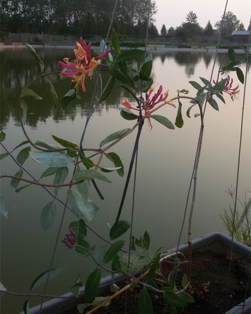 20150910_180256_����.jpg