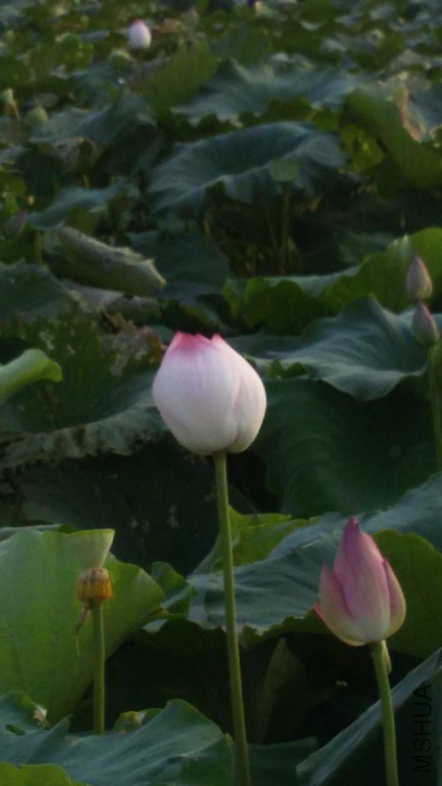 20150910_173527_����.jpg