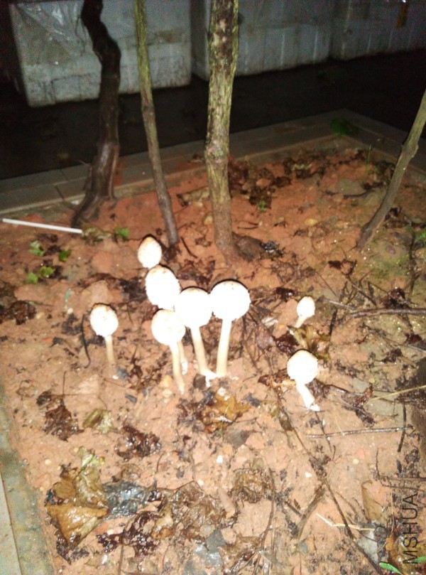conew_img_20150902_200606.jpg