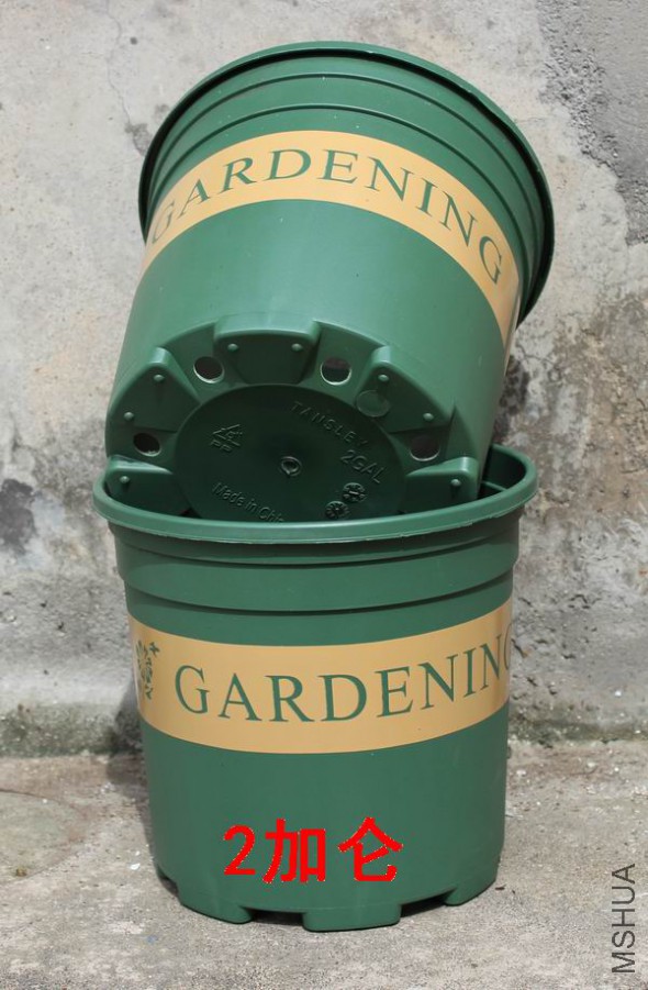 186.jpg