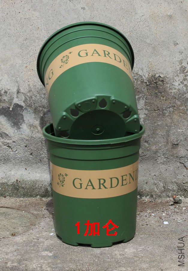 187.jpg
