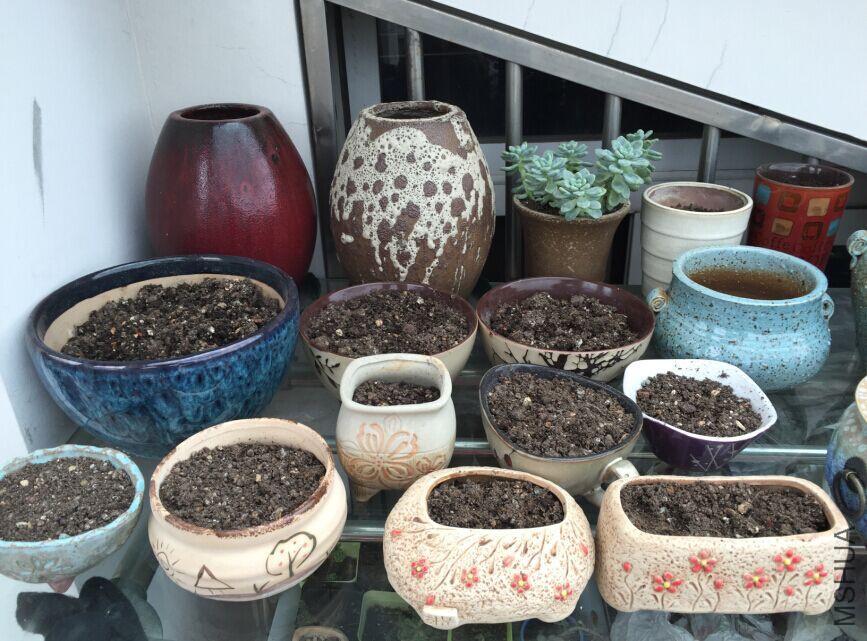 QQͼƬ20150912183233.jpg