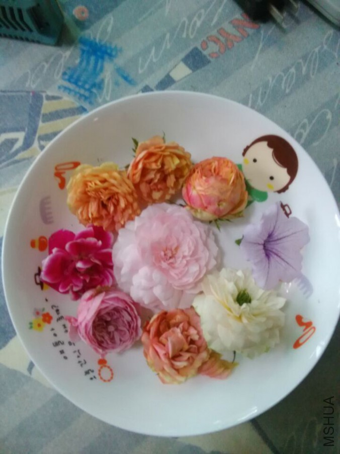 QQͼƬ20150912231709.jpg