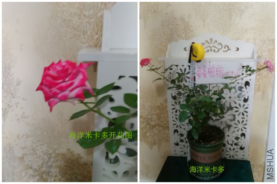 QQͼƬ20150913095021_����.jpg