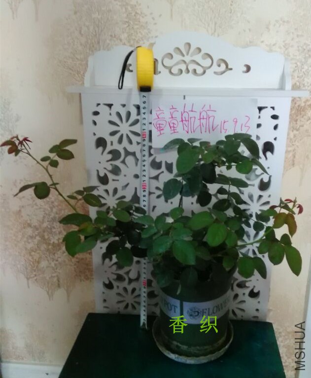 F9159A70FFD614FBD75691AF8928C0EC_����.jpg
