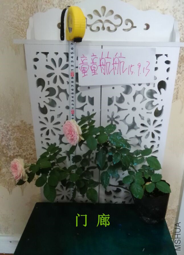 72050757FFC47975E9A43E84D8187A1E_����.jpg