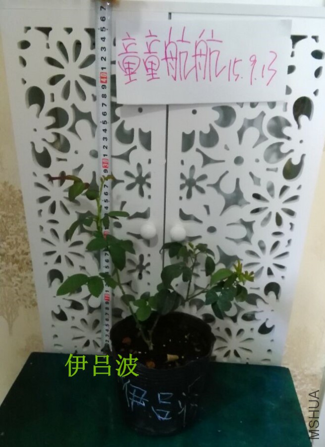793C904C84E72F1C6DD08D12221B009E_����.jpg
