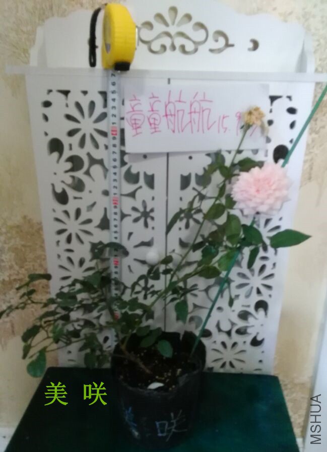 23C946F00AFEB2145D68A87AAEA238DE_����.jpg