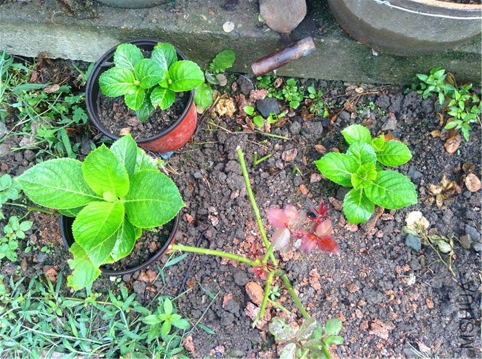 ��������ҵ�����