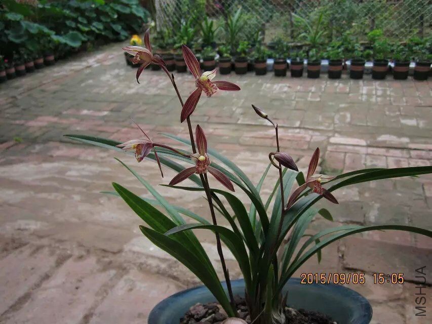 QQͼƬ20150913211145.jpg