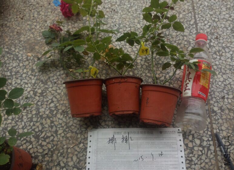 QQͼƬ20150914104213.jpg