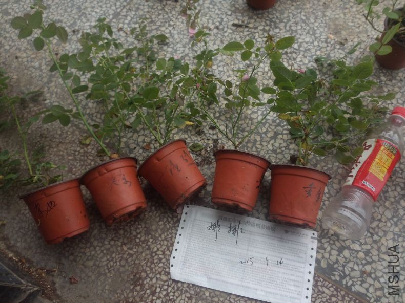 QQͼƬ20150914104042.jpg