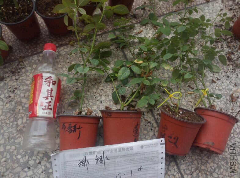 QQͼƬ20150914104309.jpg