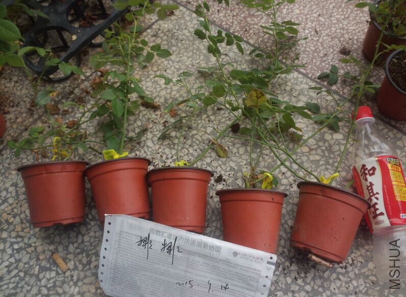 QQͼƬ20150914104327.jpg