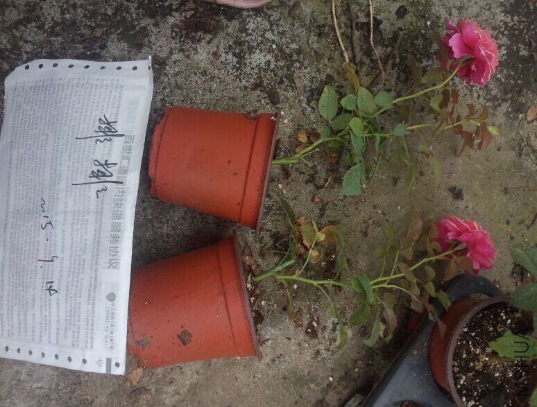 QQͼƬ20150914104357.jpg