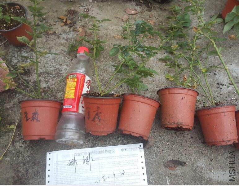 QQͼƬ20150914104412.jpg