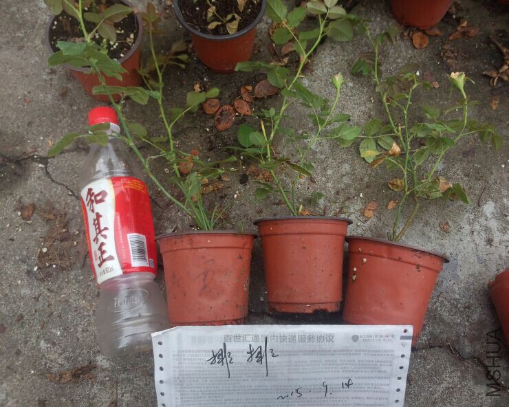 QQͼƬ20150914104527.jpg