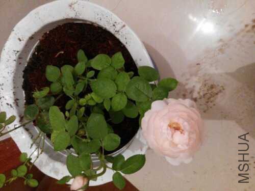 UC_Photo_001.jpg