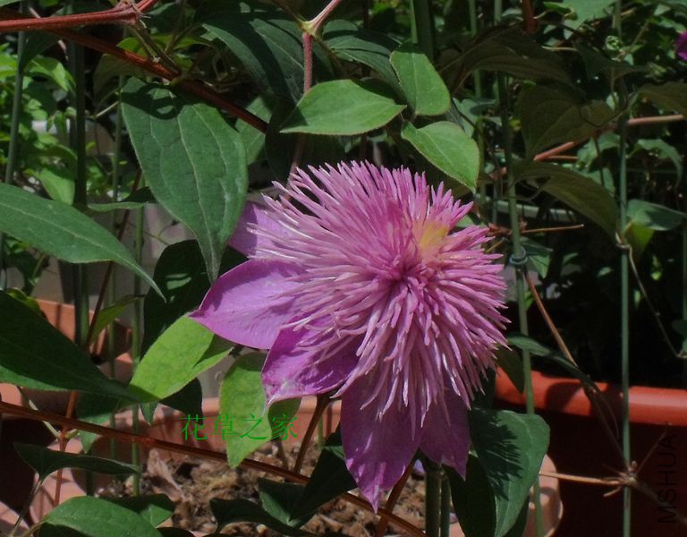 2015 724_����.jpg
