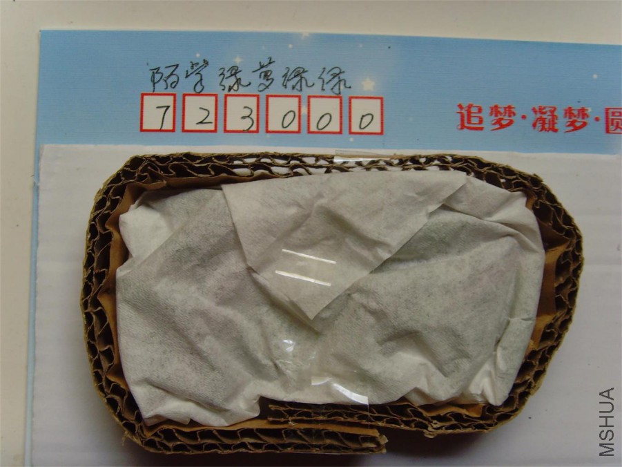 SNV39661.JPG