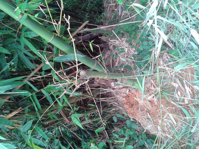 20150913_072919.jpg