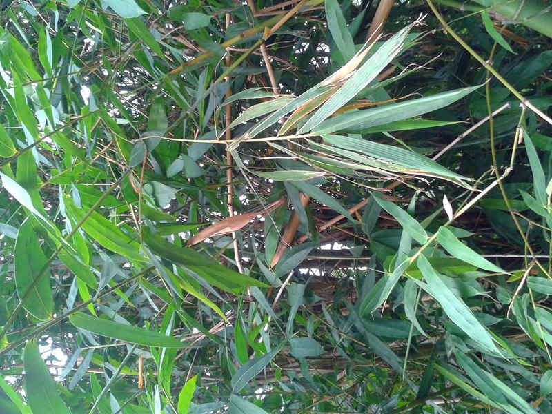 20150913_072923.jpg