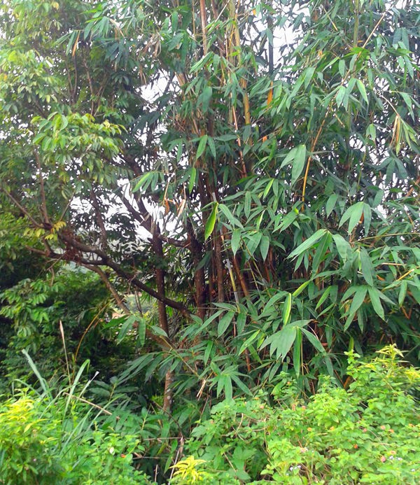 20150913_072910.jpg