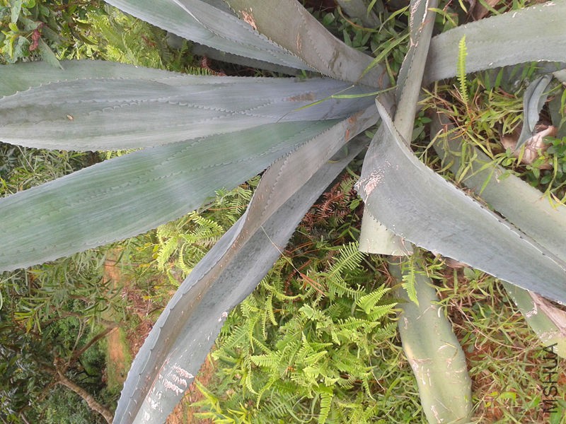 20150913_073153.jpg