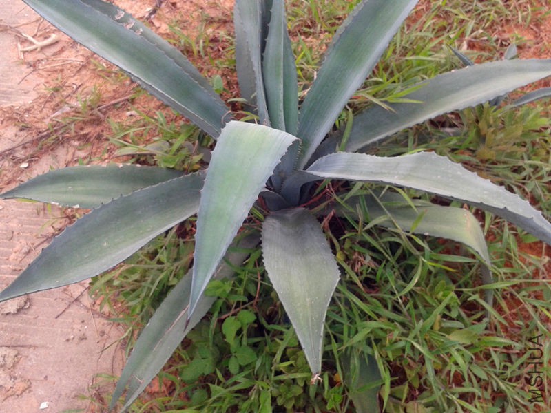 20150913_073159.jpg